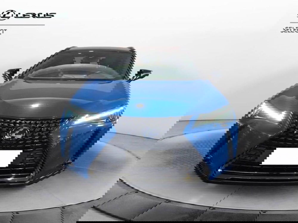 Lexus UX usata a Torino (2)