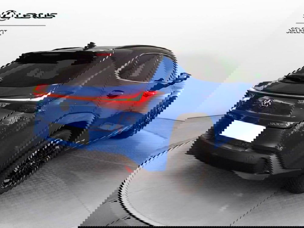 Lexus UX usata a Torino (4)