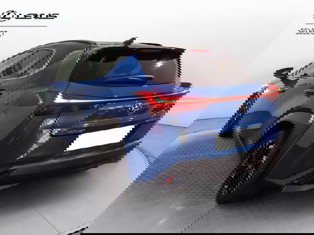 Lexus UX usata a Torino (6)