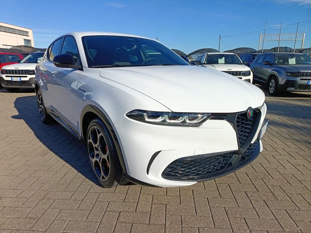 Alfa Romeo Tonale usata a Alessandria (3)