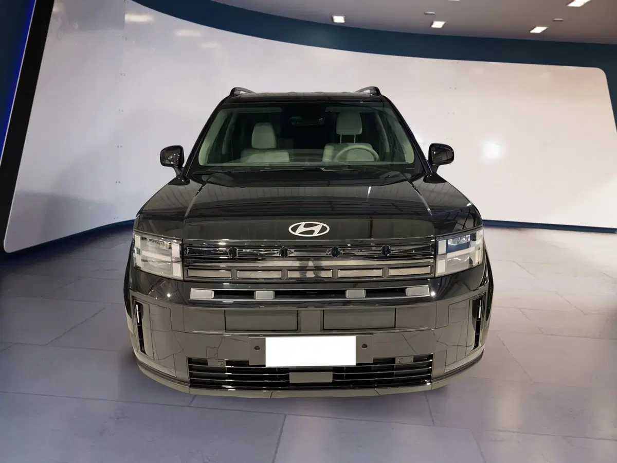 Hyundai Santa Fe usata a Torino