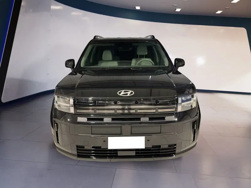 Hyundai Santa Fe usata a Torino