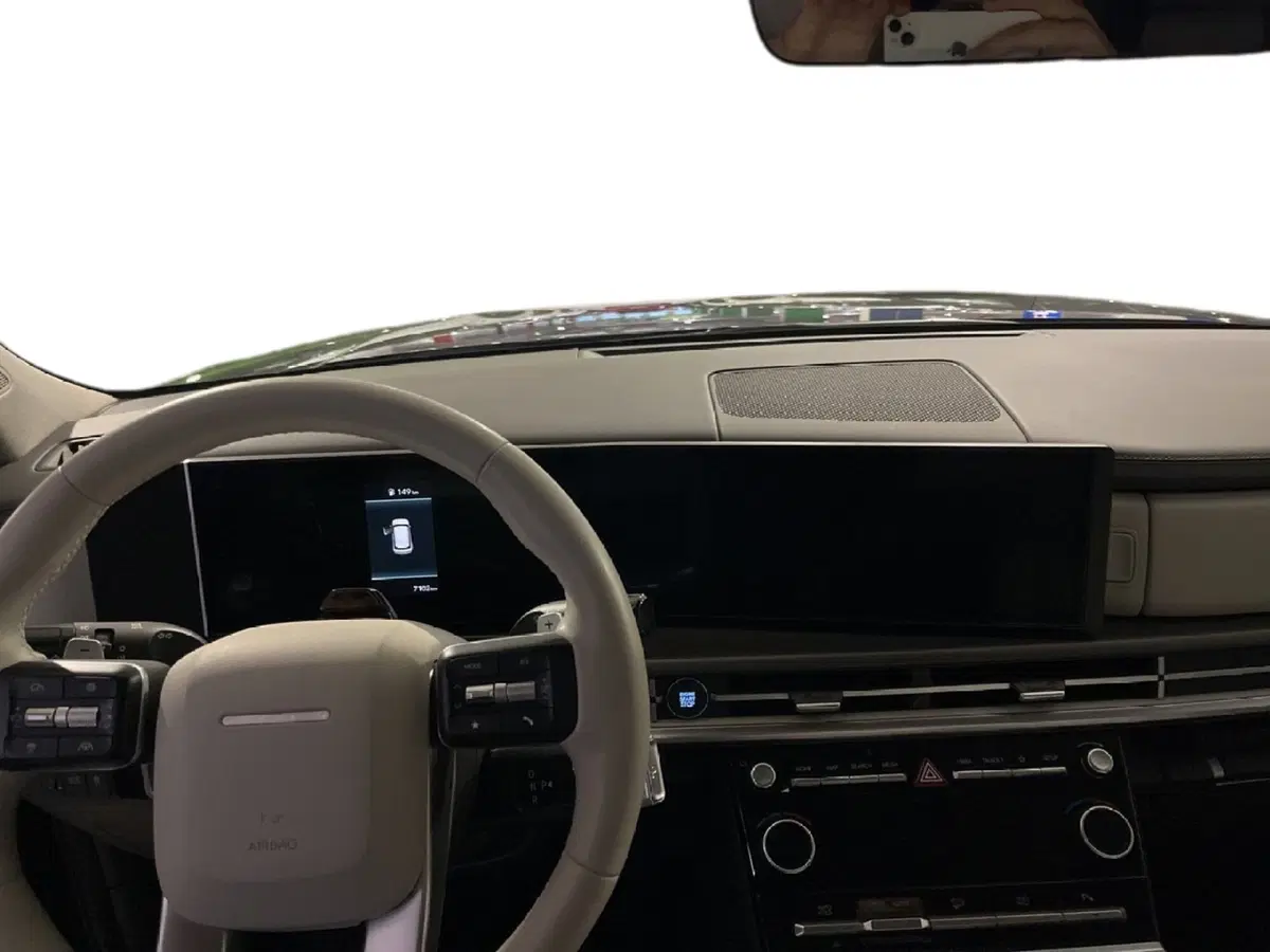 Hyundai Santa Fe usata a Torino (10)