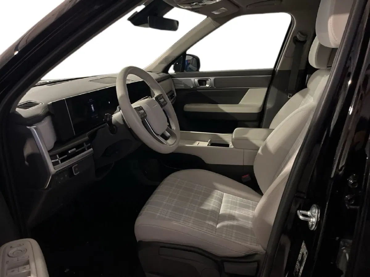 Hyundai Santa Fe usata a Torino (6)