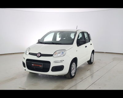 Fiat Panda 1.2 Easy del 2020 usata a Castenaso