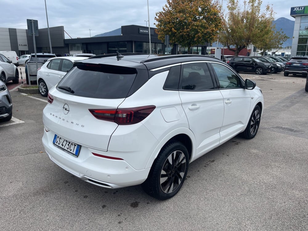 Opel Grandland usata a Frosinone (3)