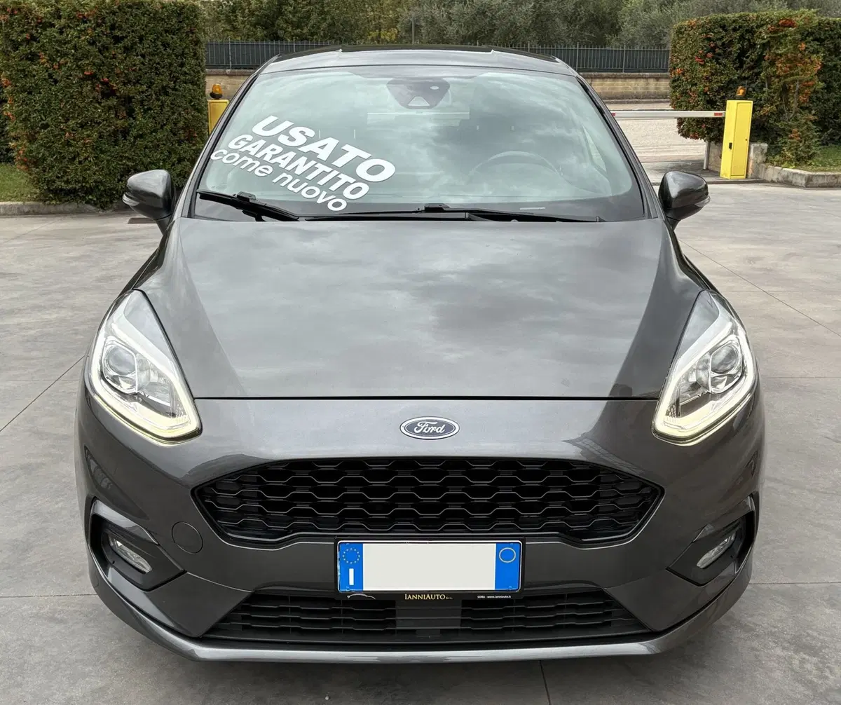 Ford Fiesta usata a Frosinone