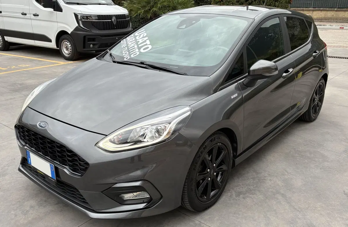 Ford Fiesta usata a Frosinone (2)