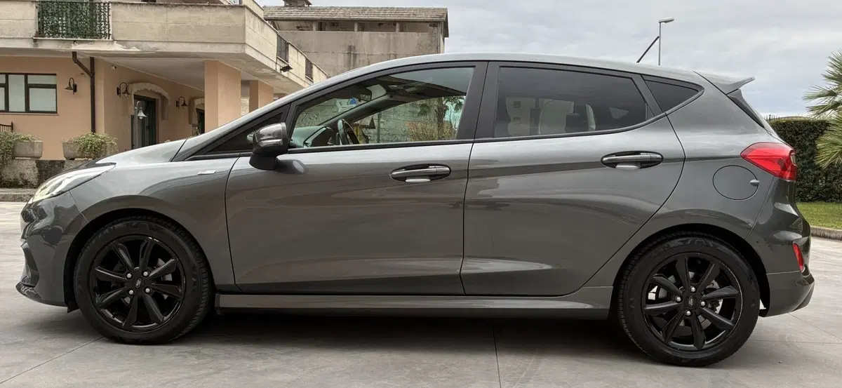 Ford Fiesta usata a Frosinone (3)