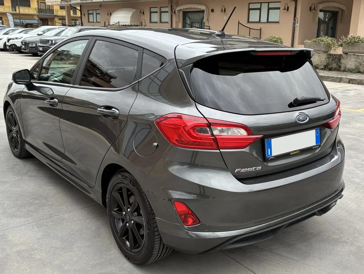 Ford Fiesta usata a Frosinone (4)