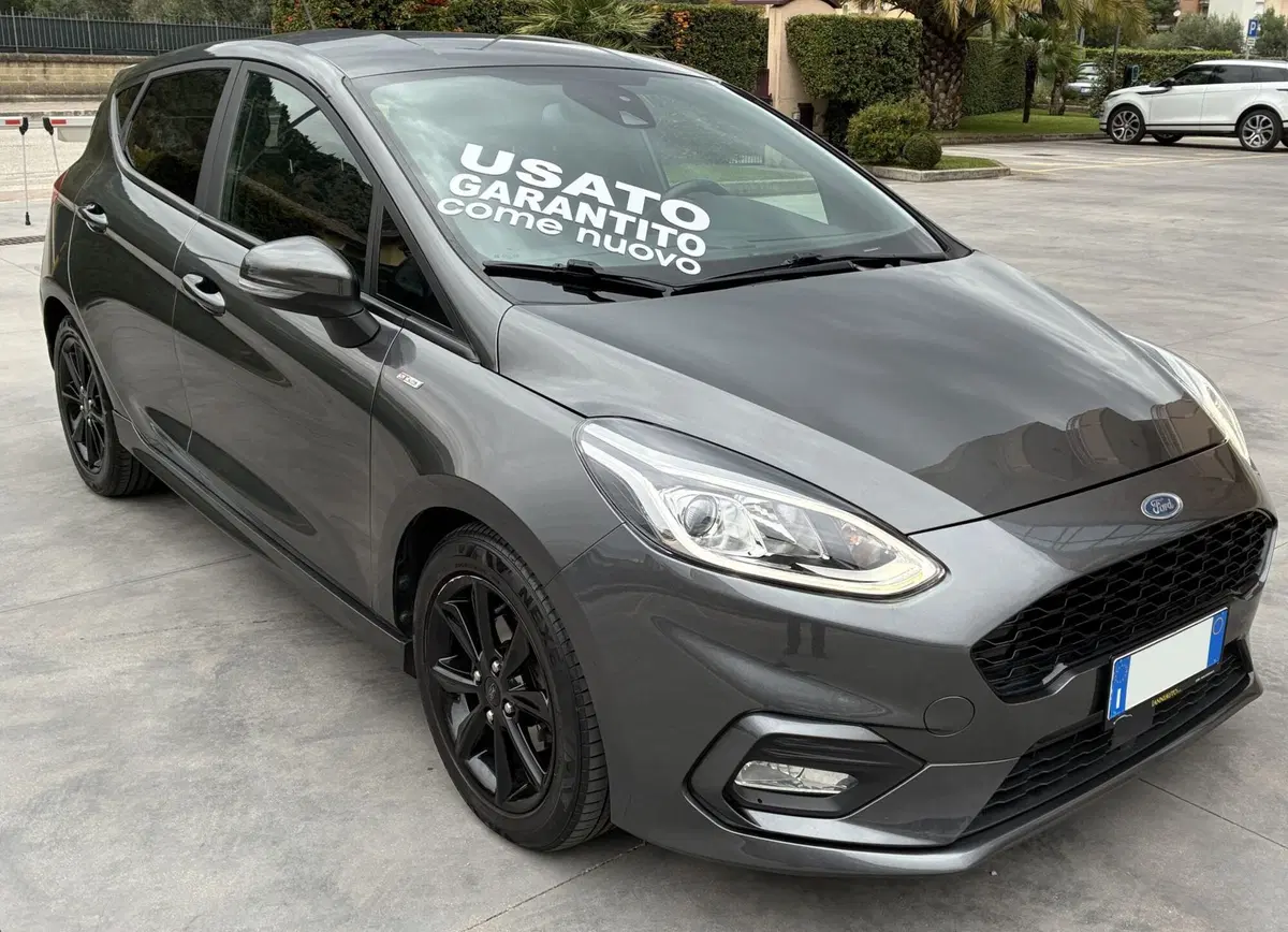 Ford Fiesta usata a Frosinone (8)