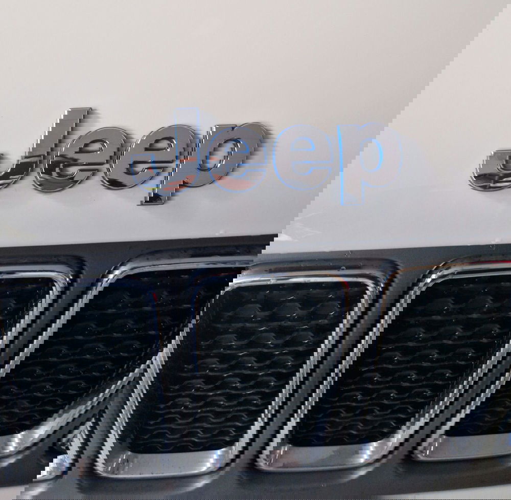 Jeep Renegade usata a Terni (19)