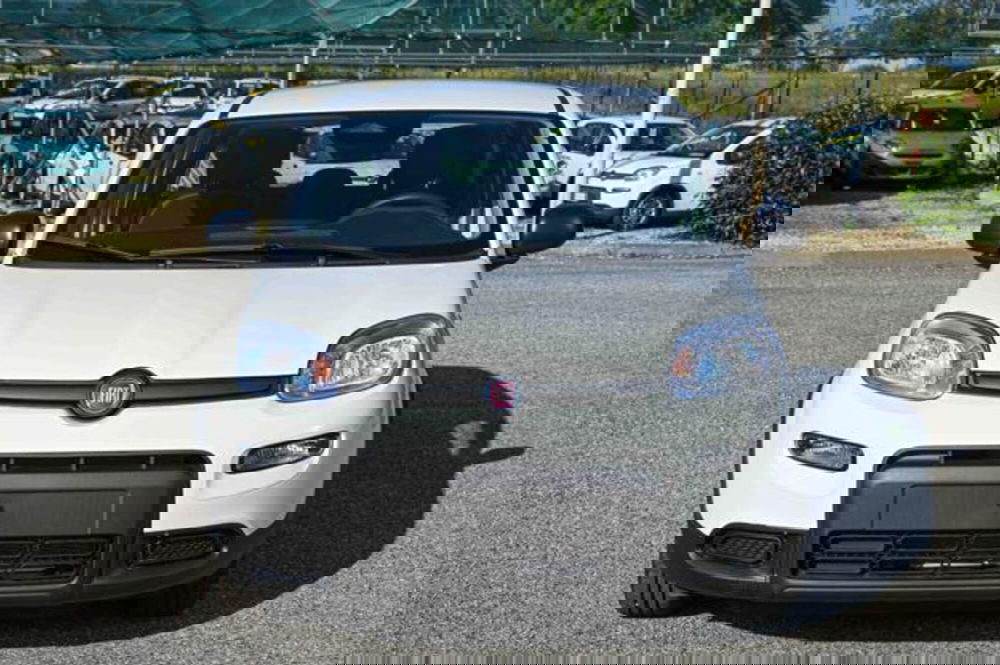 Fiat Panda nuova a Torino (2)