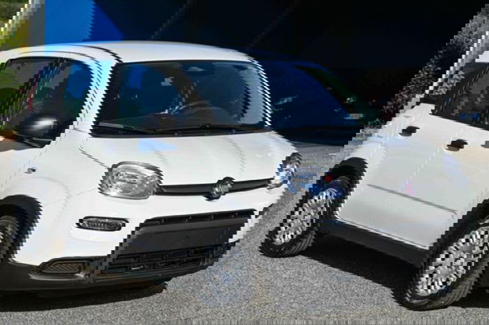 Fiat Panda nuova a Torino (3)