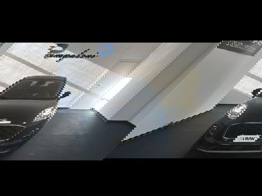 Ford Puma usata a Siena (2)