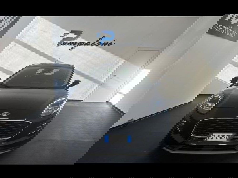 Ford Puma usata a Siena (3)