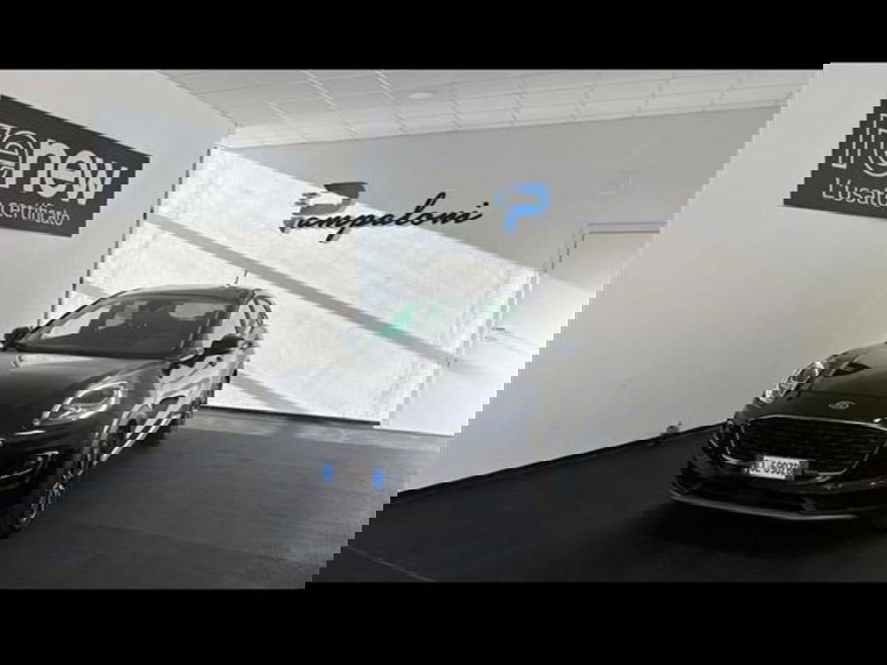 Ford Puma usata a Siena (4)