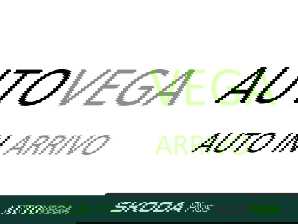 Skoda Kamiq usata a Vicenza