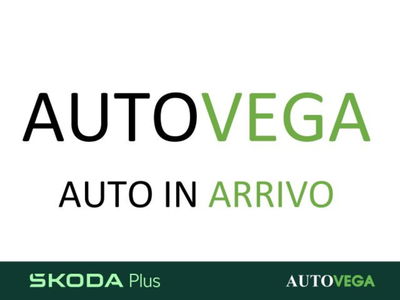 Skoda Kamiq 1.0 TSI 110 CV DSG Monte Carlo del 2023 usata a Arzignano