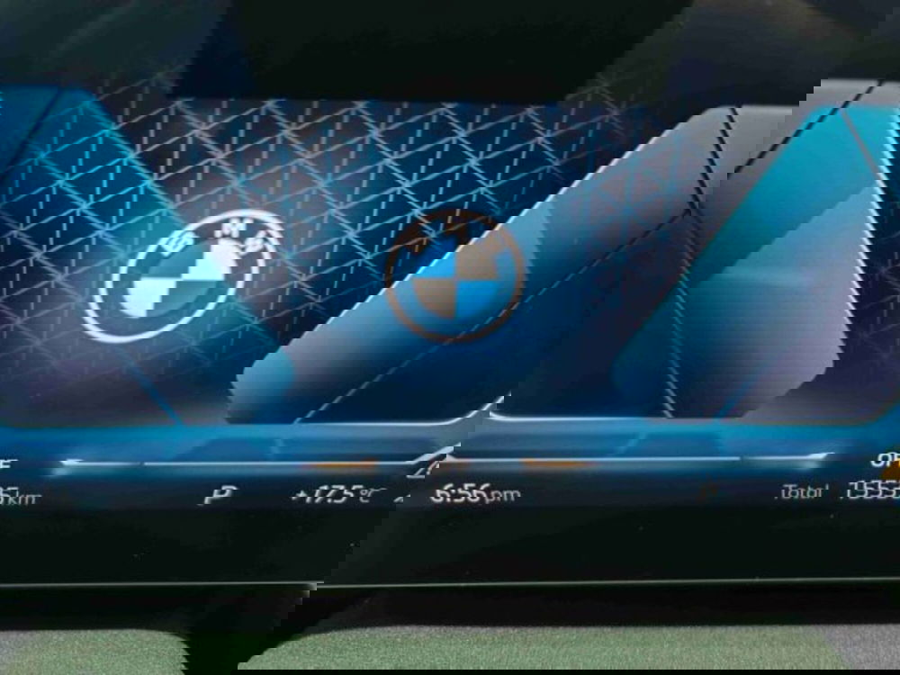 BMW X2 usata a Catania (15)