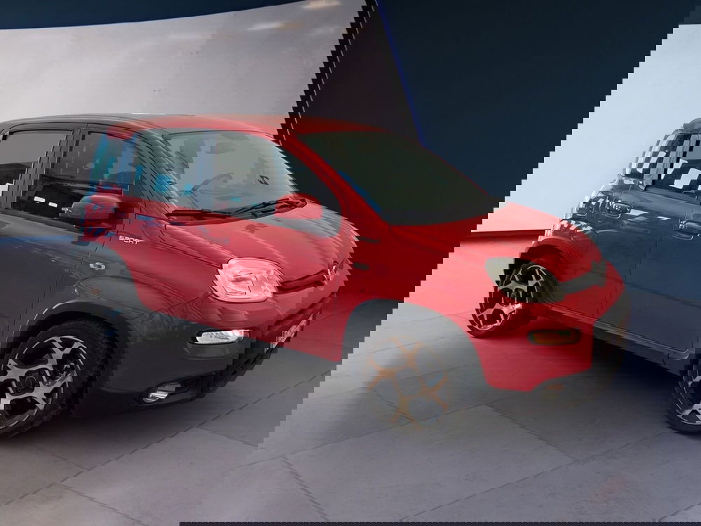 Fiat Panda usata a Torino (3)