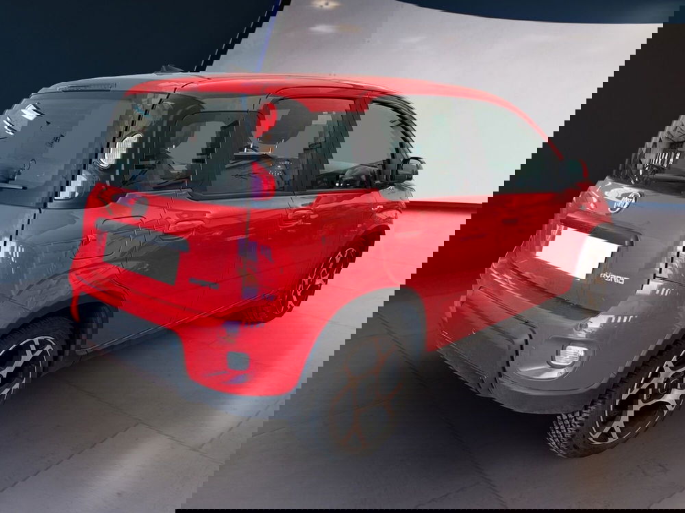 Fiat Panda usata a Torino (4)