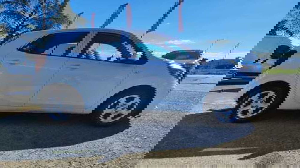 Kia Picanto usata a Firenze (10)