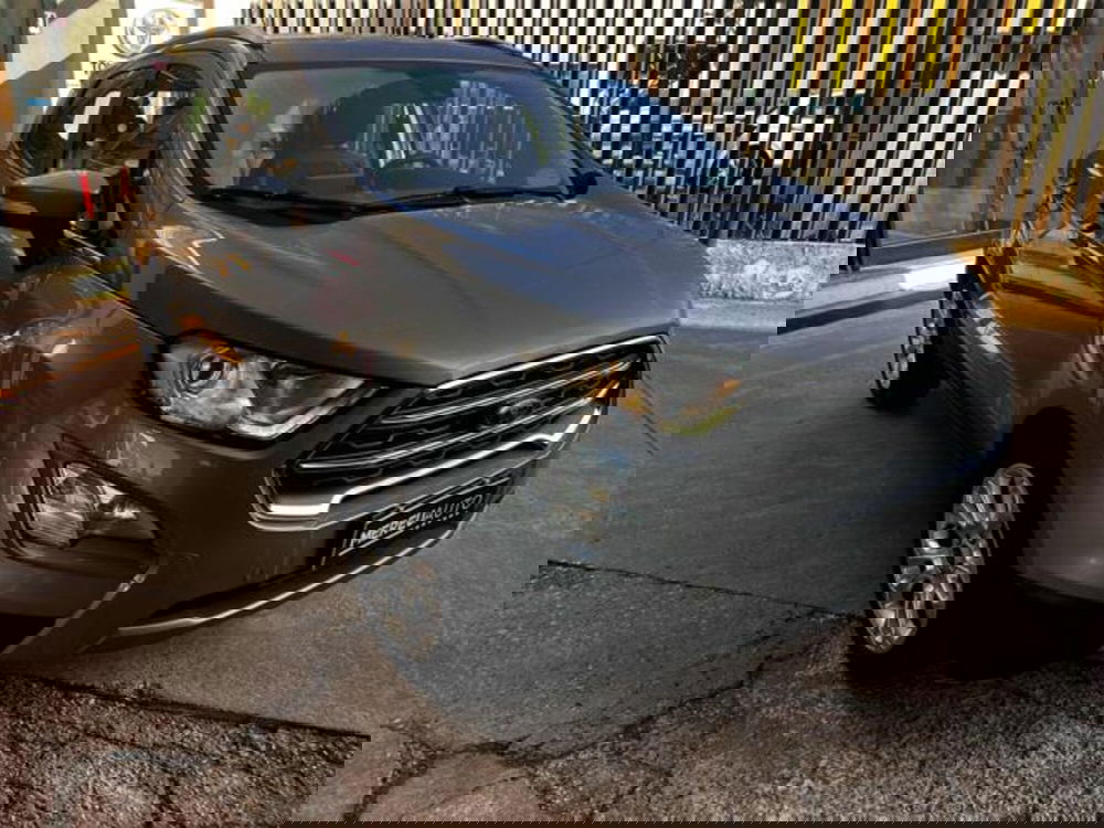 Ford EcoSport usata a Sassari (3)