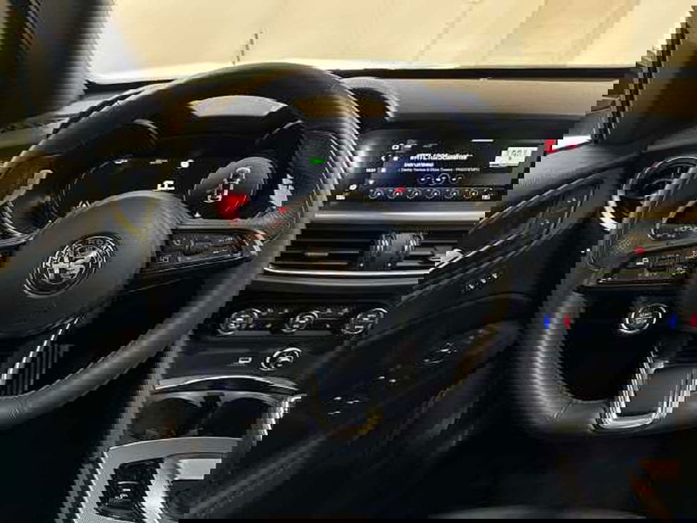 Alfa Romeo Stelvio usata a Forlì-Cesena (11)