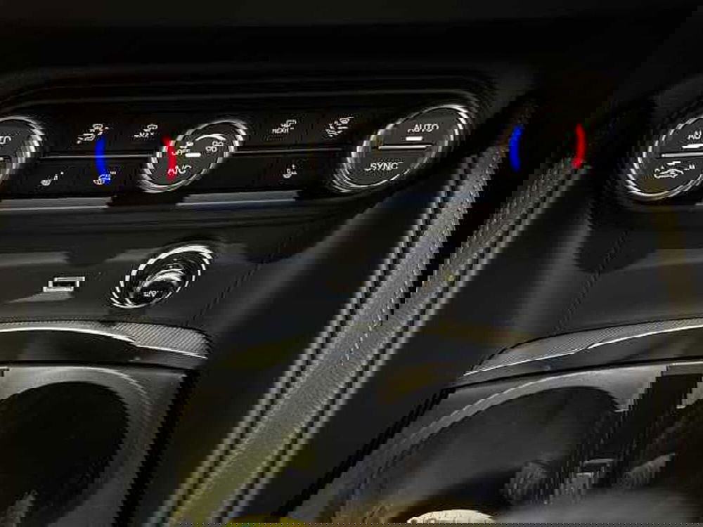 Alfa Romeo Stelvio usata a Forlì-Cesena (15)