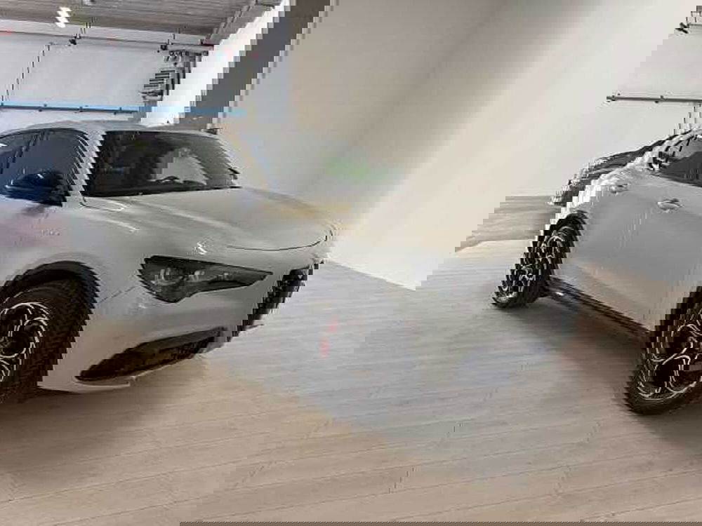 Alfa Romeo Stelvio usata a Forlì-Cesena (4)