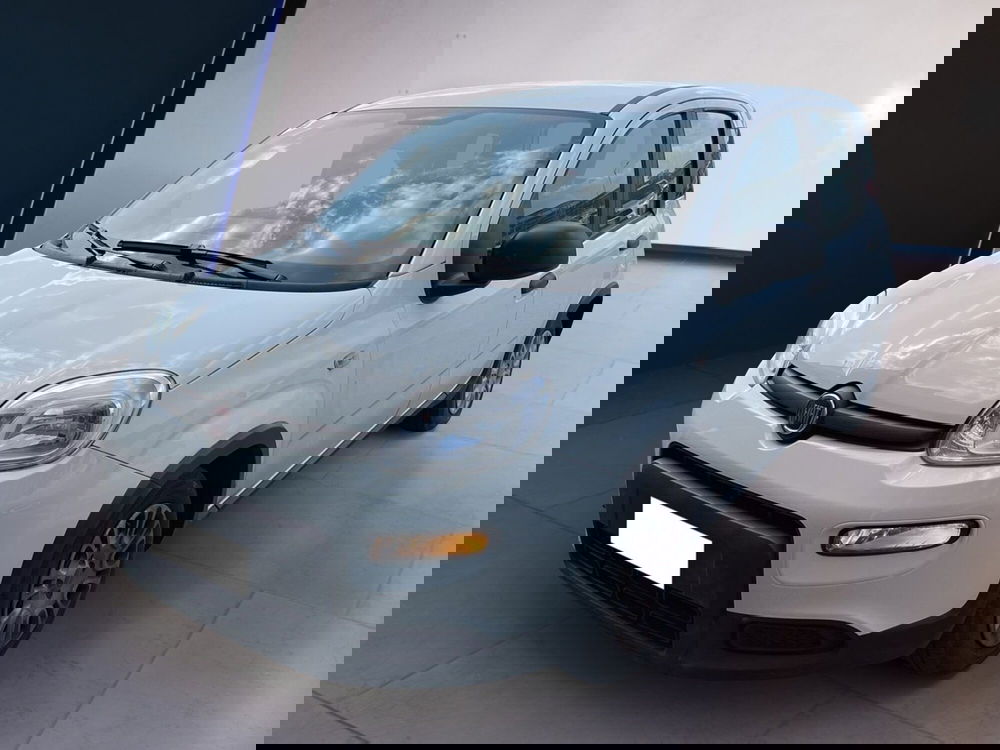 Fiat Panda usata a Torino (2)