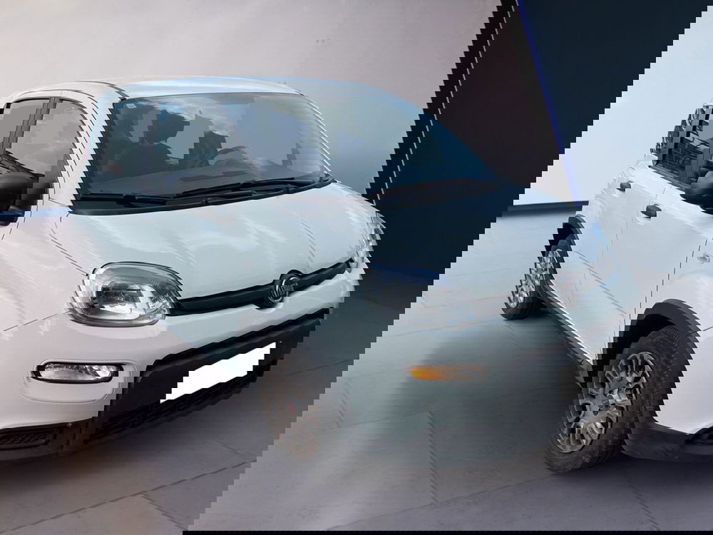 Fiat Panda usata a Torino (3)