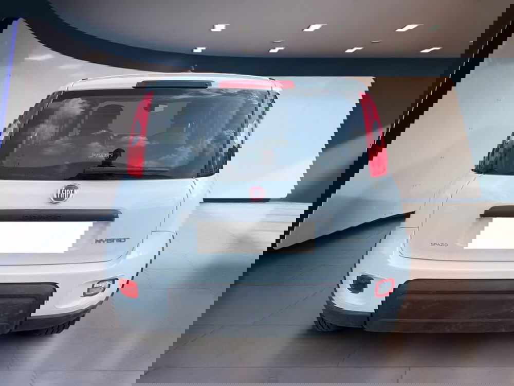 Fiat Panda usata a Torino (6)