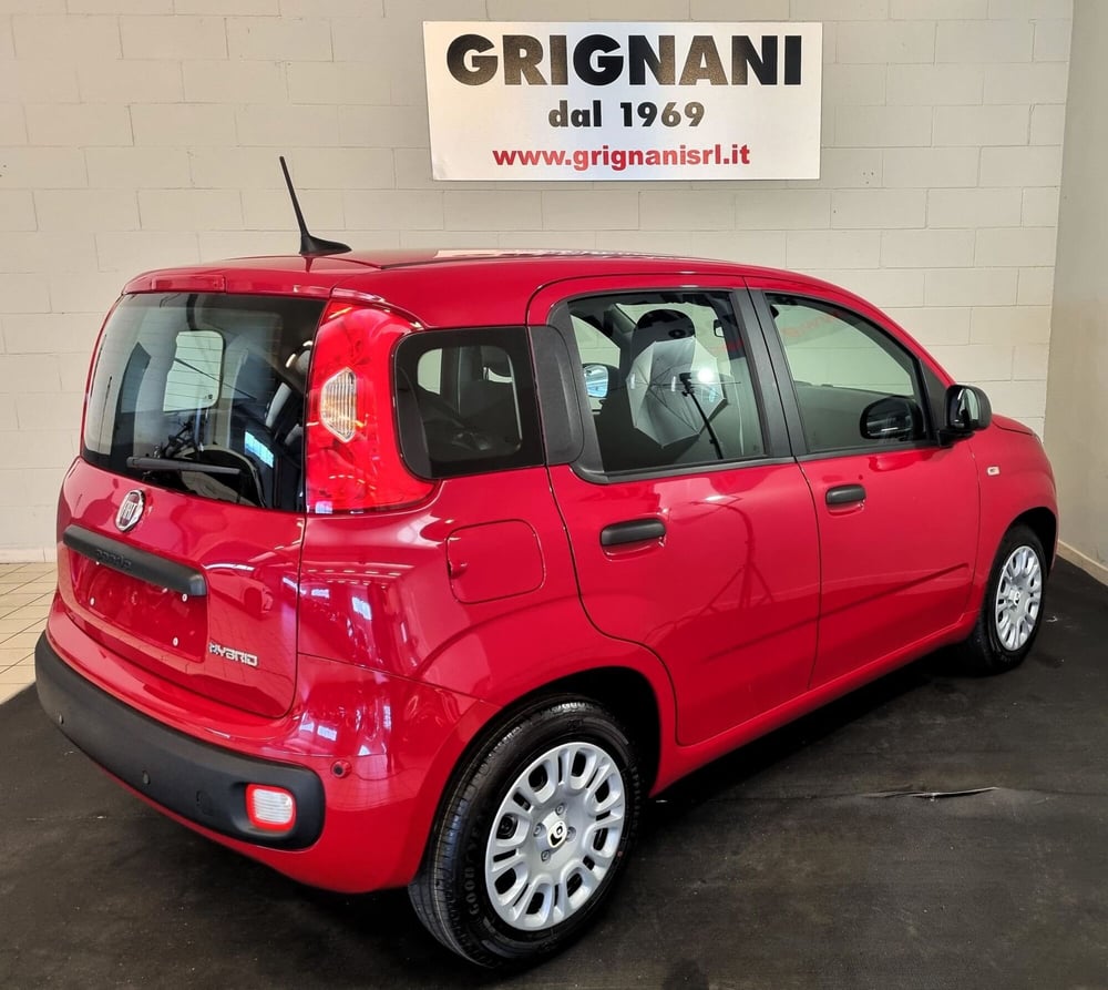 Fiat Panda Cross nuova a Pavia (6)