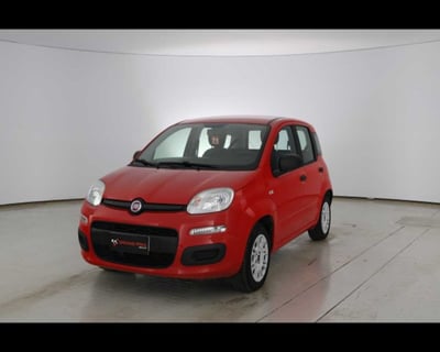 Fiat Panda 1.2 EasyPower Easy del 2020 usata a Castenaso