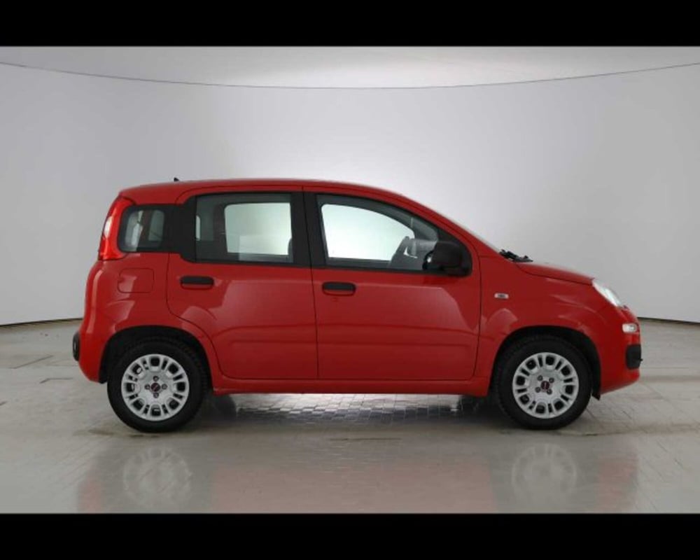 Fiat Panda usata a Bologna (4)