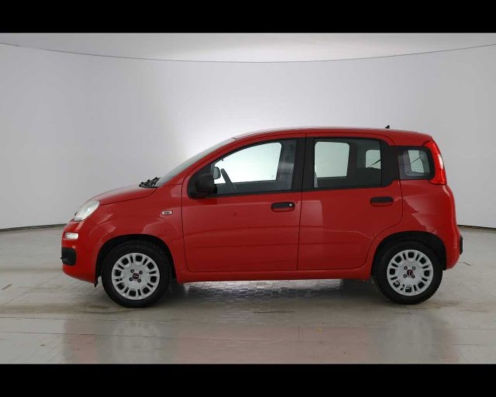 Fiat Panda usata a Bologna (8)