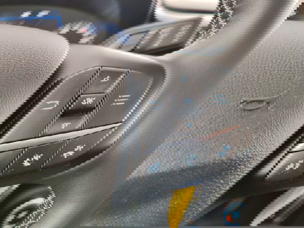 Ford Fiesta usata a Massa-Carrara (14)