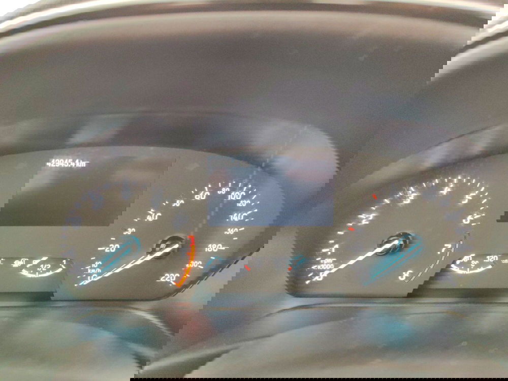 Ford Fiesta usata a Massa-Carrara (16)