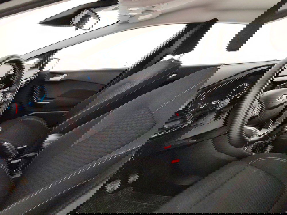 Ford Fiesta usata a Massa-Carrara (7)