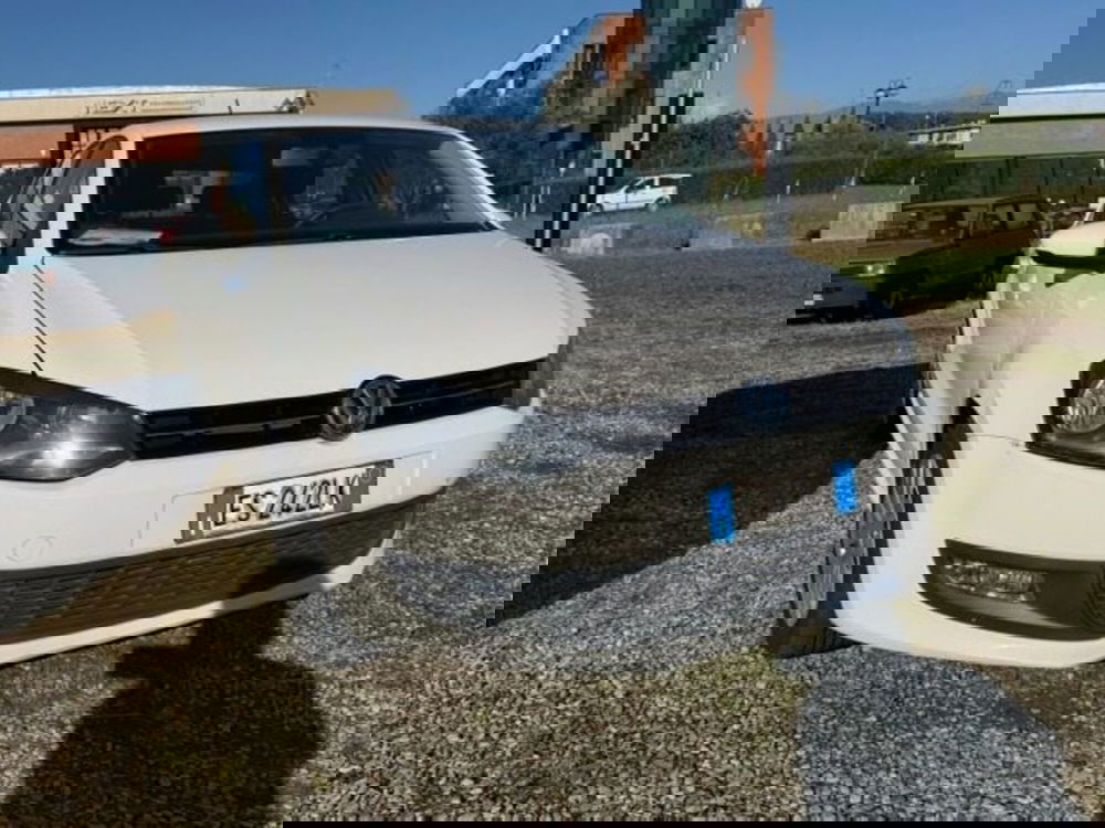 Volkswagen Polo usata a Prato (2)