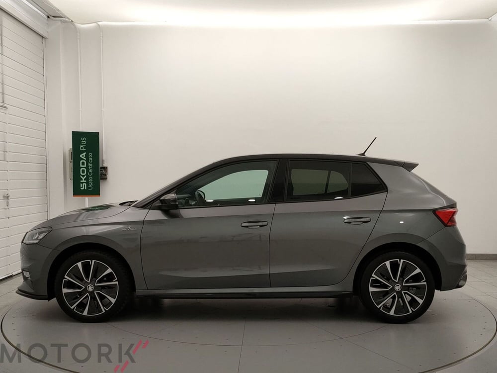 Skoda Fabia usata a Varese (5)