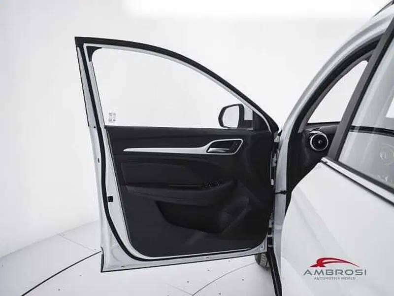 Mg ZS usata a Viterbo (19)