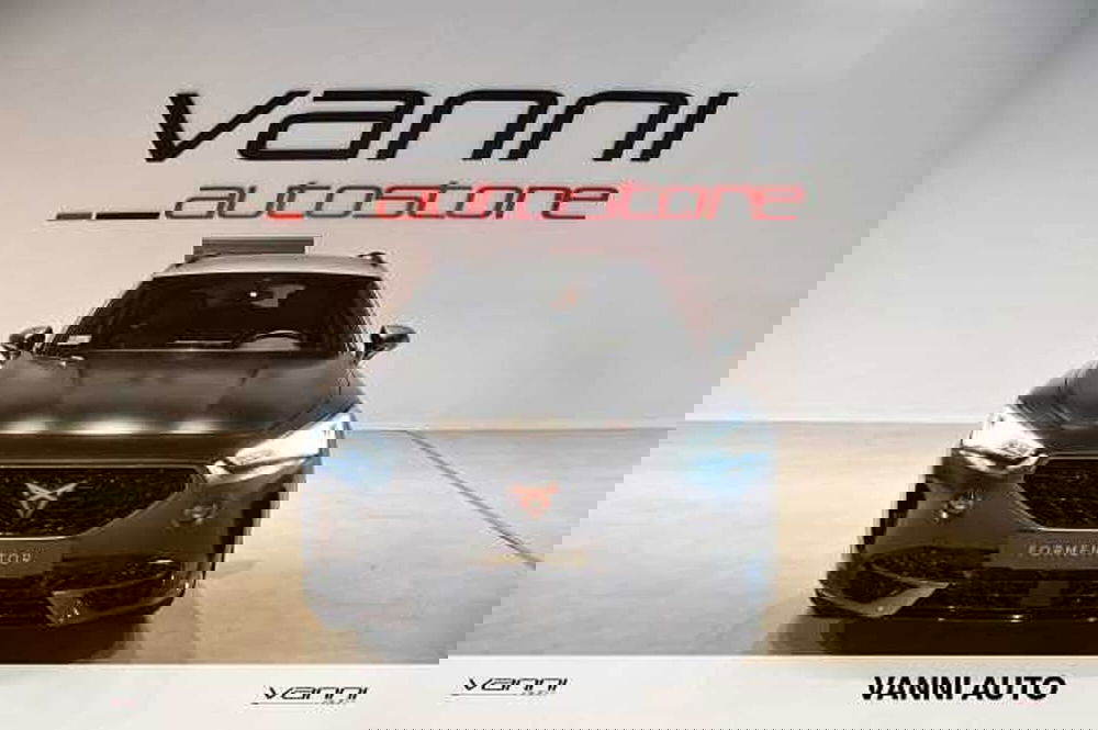 Cupra Formentor usata a Verona (2)