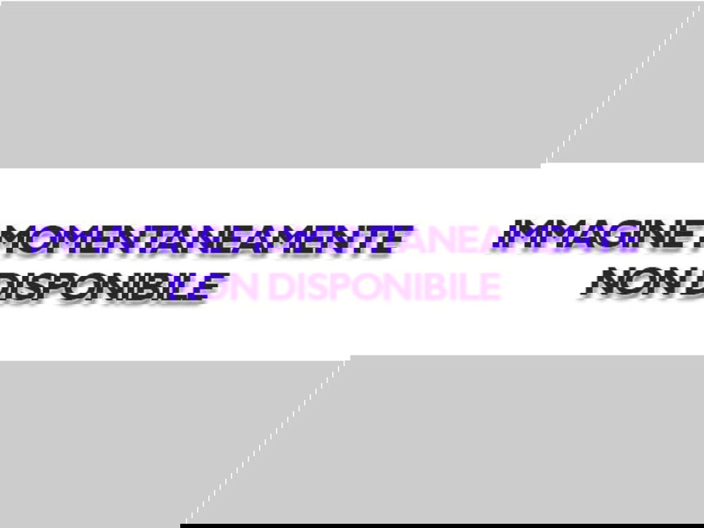 SEAT Ibiza usata a Vicenza