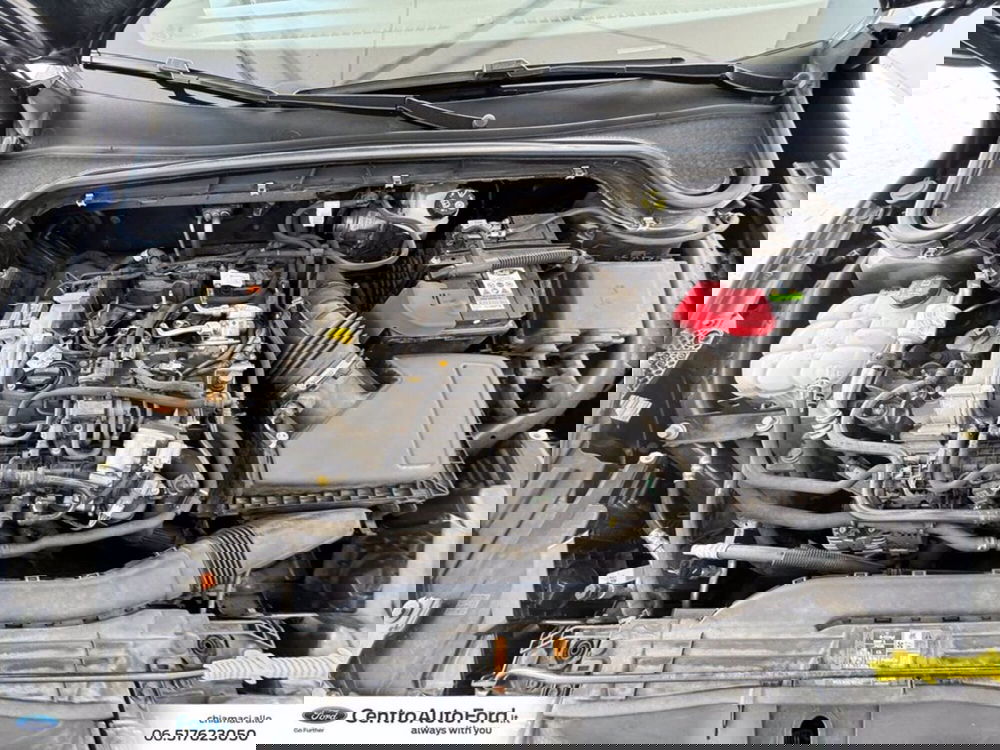 Ford Focus usata a Roma (13)