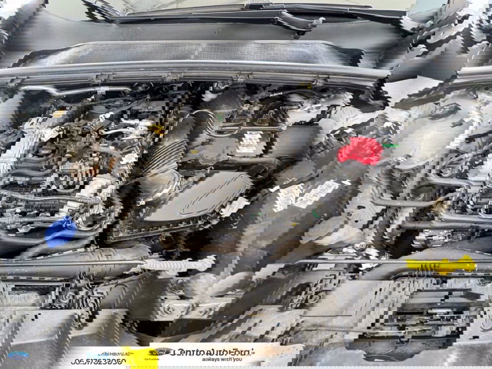 Ford Puma usata a Roma (12)