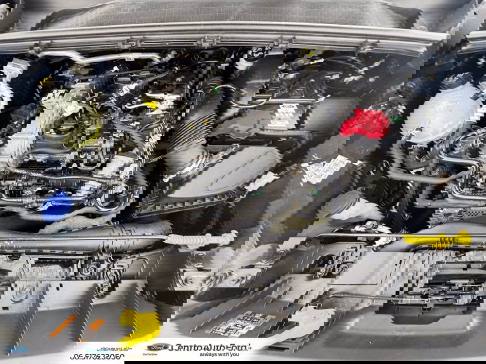 Ford Puma usata a Roma (12)