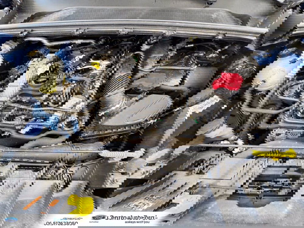 Ford Puma usata a Roma (12)
